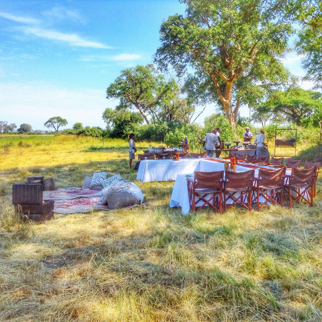 Luxury Picnic & Bush Dining